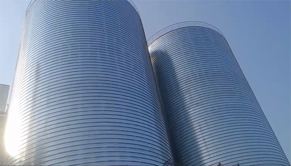 缙云2座混凝土高架卷板仓